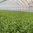 한재농장 이미지