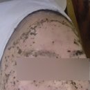 스킨스토리 | 청주 웨딩 피부 관리 스킨스토리 산남점 바이오 필링 솔직 후기