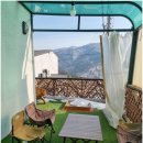 산속애견 이미지