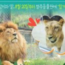 청주시 반려동물보호센터 이미지