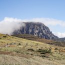 코in제주 이미지