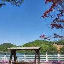 (주)신세계푸드이베이커리충주점 | 충주 음성 드라이브코스 무극저수지 [카페 스완] 뷰 좋은 대형 베이커리카페 추천