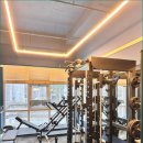 더블유 제이 이미지