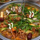 토담골 | 함안 오리불고기 맛집 토담골 내돈내산 솔직후기