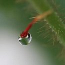 작은행복 이미지