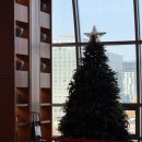 호텔 모모 | [분당/판교] 모모카페 판교 메리어트 호텔 뷔페 점심 내돈내산 후기