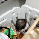 와이537카페 | 생후 536일~540일 :: 어린이집 일상/아기다래끼 완치?