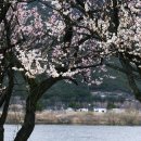 매화2공원 이미지