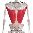 바디템플 휘트니스 이미지