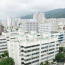 세화부동산중개사무소 이미지