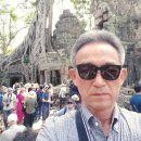 뚬바리의 캄보디아 씨엠립 여행기 3 - 앙코르와트 일출과 타프롬사원 이미지