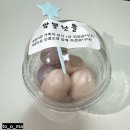 멍티댕티 | 속초 반려동물용품 편집샵 멍티댕티 슈링크스 반려견 키링 후기