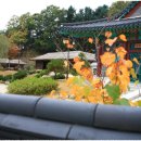 상국농장 세계일보