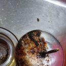 봉동식품 이미지