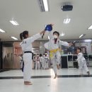 황스 태권도장 네이버블로그