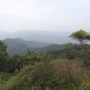 보성우체국 이미지