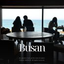 하나애견 | 부산 기장 카페 피크스퀘어 주차장 애견동반 오션뷰 내돈내산