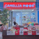 안목있는춘향C | 강릉 - 펜시샵 추천 (강릉시장/안목해변)