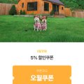 펫뜨락 이미지