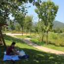 다산생태공원 이미지