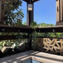 큰코지아침 이미지