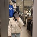 스파오 파스텔 푸퍼 대신 구매한 폴햄 신상 숏패딩 후기(스파오 패딩 착샷 有)