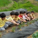 화곡농장 이미지