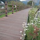 금강로하스 해피로드(2) 이미지