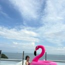 바른고기(여수소호점) | [임신 중기/22주~25주]임신중기 남해,광안리,경주,여수 여행/유모차, 바구니카시트 당근/임당 재검 당첨