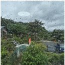 자연속풍경 용항민박 | 순천여행 자연 속에서 힐링한 시간, 한국풍경펜션 후기