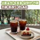 서울숲을 내려다 볼 수 있는 대형 카페 플래드 PLAD