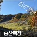 송산 | 광주 아이랑 갈만한곳 송산목장 양떼목장 승마체험 후기