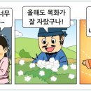 목화나라