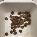 스니피드 이미지