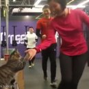 하이파이브 크로스핏 이미지