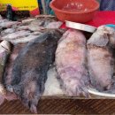 잠뱅이수산 이미지