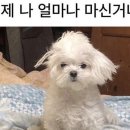 주공사진관