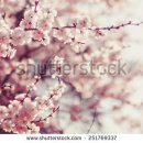 인터넷 기초 이미지