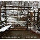 지열농장 이미지