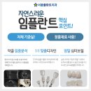 서앤지교정치과기공소 | 노원치과 임플란트를 아주 잘하기 때문에