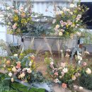 원예가드닝 이미지