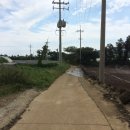 동일리-4 이미지