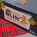탐나는과일 - 제주시 노형1길 14 | 제주도 고당도 감귤 서귀포 귤 택배 탐나는귤 택배 후기