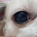 벤지동물병원 이미지