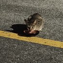 (주)대디팜 | 10점 만점에 10월