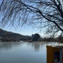 영산정기시장 이미지