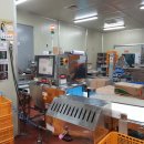 강가애하루 이미지