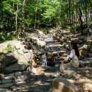 놀이터목장 이미지