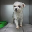 파란종합 동물병원 이미지