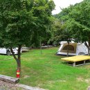 향림오토캠핑장 이미지